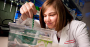 Graduate Programs