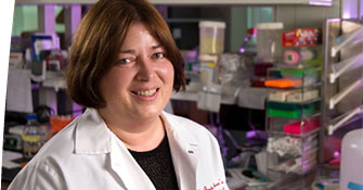 Elisabeth E. Adderson, MD