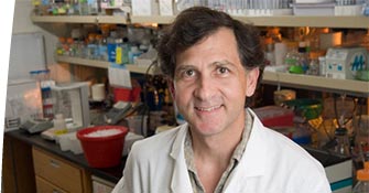 Paul K. Brindle, PhD