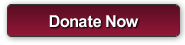 Donate Now on behalf of STP