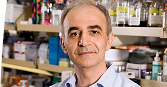 Dario Campana, MD, PhD
