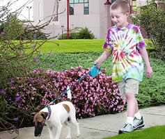 St. Jude patient takes puppy Monica for a stroll around the St. Jude campus