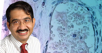 Amar Gajjar, MD