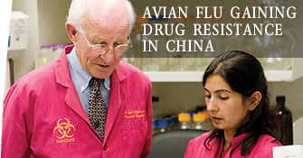 Avian flu gaining drug resistance in China