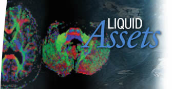 Liquid Assets