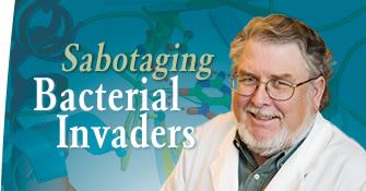 Sabotaging Bacterial Invaders