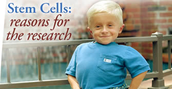 Stem Cells: reasons for the research