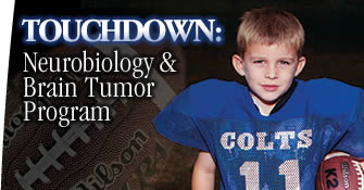 Touchdown: Neurobiology & Brain Tumor Program