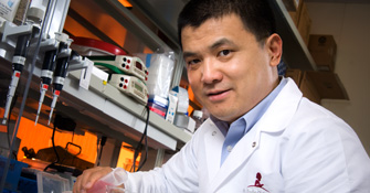 Hongbo Chi, PhD