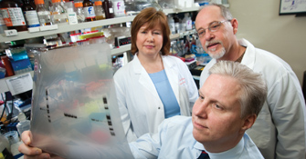 Experimental Hematology
