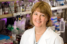 Jill M. Lahti, PhD