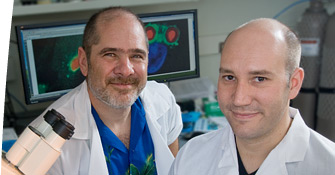 Doug Green, PhD