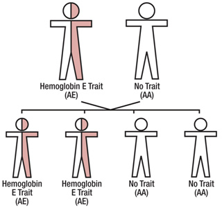 with Hemoglobin E trait