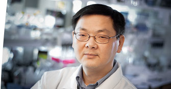Taosheng Chen, PhD, PMP®
