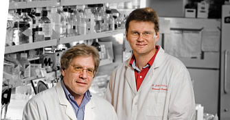 St. Jude discovers factors that accelerate Gleevec™ resistance
