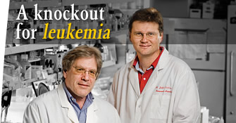 A knockout for leukemia