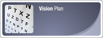 Vision Plan