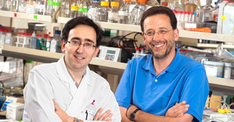 Alfonso Lavado and Guillermo Oliver
