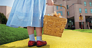 Beyond the yellow brick road