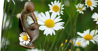 Daisy Award