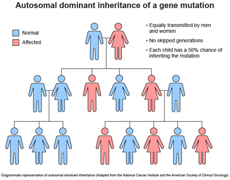 Autosomal dominant inheritcance of a gene mutation