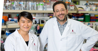 Xin Geng, PhD and Guillermo Oliver, PhD