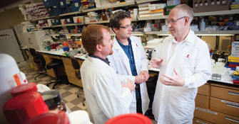 David Ellison,MD, PhD, Giles Robinson, MD, and Richard Gilbertson, MD, PhD confer