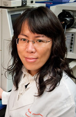 Li Lie, PhD