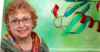 Suzanne Jackowski, PhD