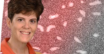 Mary McCarville, MD