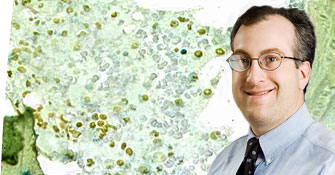 Joseph T. Opferman, PhD