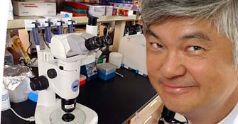 Ching-Hon Pui, MD