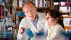 Investigaci&oacute;n