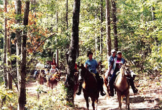 Saddle Up featured coordinator