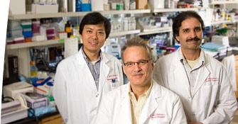 Guoqing Du, PhD, John D. Schuetz, PhD, and Partha Krishnamurthy, PhD