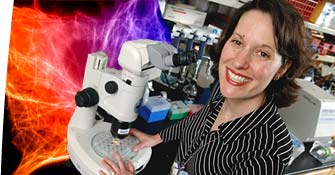 Brenda A. Schulman, PhD