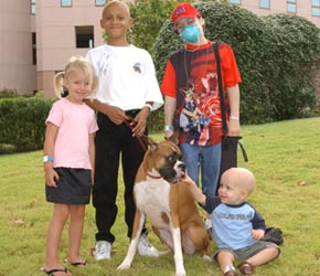 Showcase of Dogs