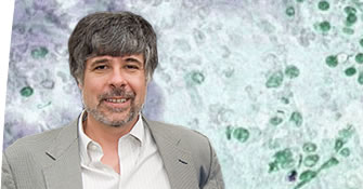 Brian P. Sorrentino, MD