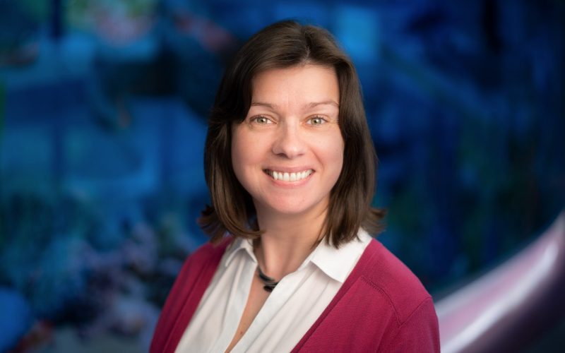 Erika Rudd Curing SCID: The People Behind the Process - St. Jude Children’s ...