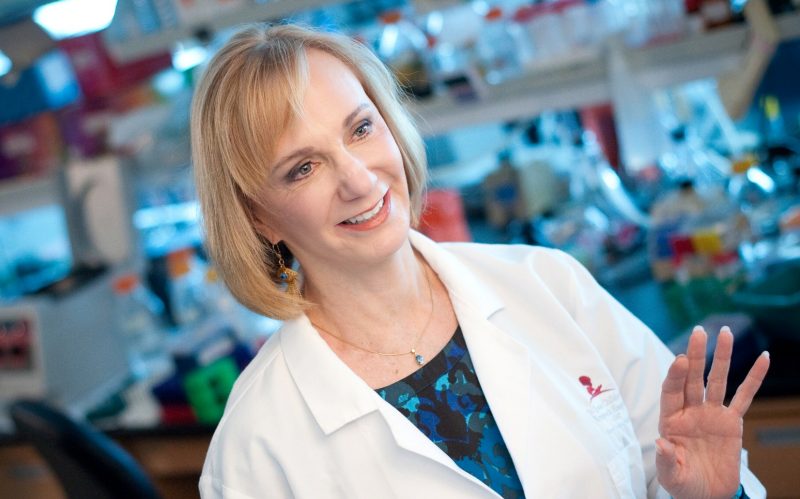 Erika Rudd A Baby's Legacy: Preventing Pneumococcal Infections - St. Jude Children ...
