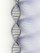 DNA strand