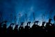 Trumpets from the college band in the air against the sky