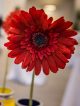 Flower decorations