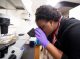 A girl looks into a microscope.