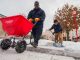 Michael Thomas and Harold Carter of St. Jude Facilities Operations and Maintenance spread salt and clear campus sidewalks.