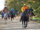 J.D. Brown Memorial Trail Ride