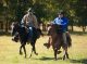 J.D. Brown Memorial Trail Ride