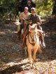 J.D. Brown Memorial Trail Ride