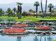 Landscape view of the Warburton Golf Tournament 2016