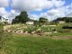 the giving garden in illinois